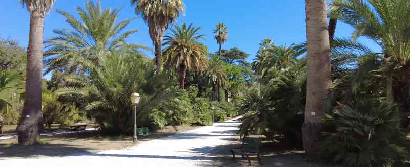 Orto Botanico