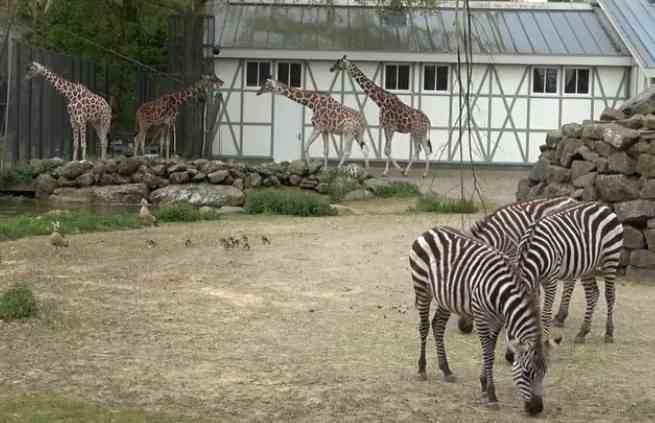Artis zoološki vrt